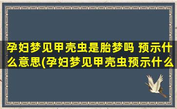 孕妇梦见甲壳虫是胎梦吗 预示什么意思(孕妇梦见甲壳虫预示什么意思？是否为胎梦？)